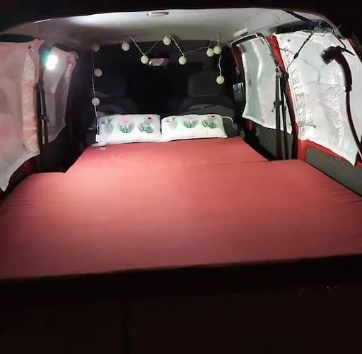 W Discoverycanarias Ii Сан Мигель