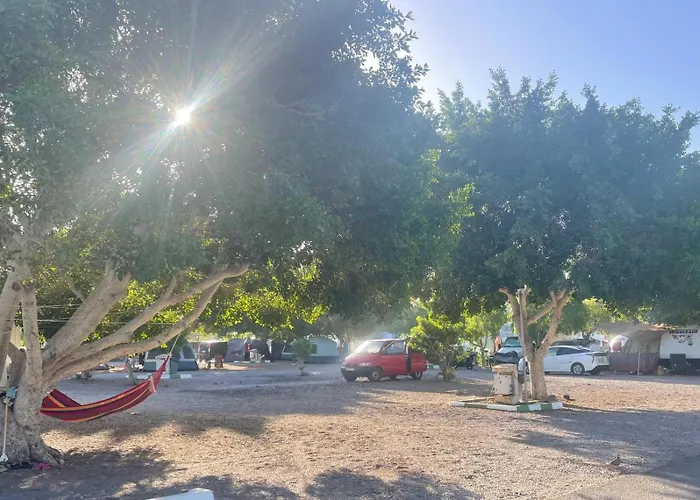 W Discoverycanarias Ii Сан Мигель